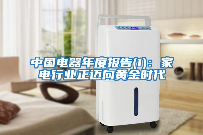 中國電器年度報告(1)：家電行業正邁向黃金時代