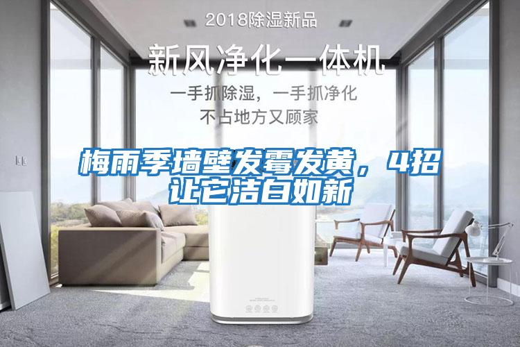 梅雨季墻壁發霉發黃，4招讓它潔白如新