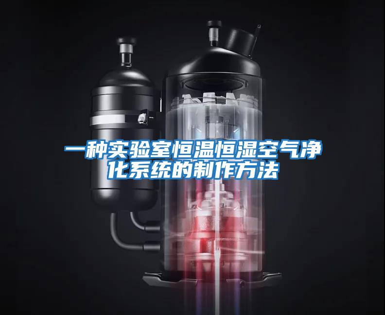 一種實驗室恒溫恒濕空氣凈化系統的制作方法