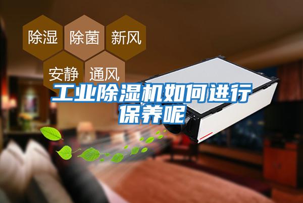 工業除濕機如何進行保養呢