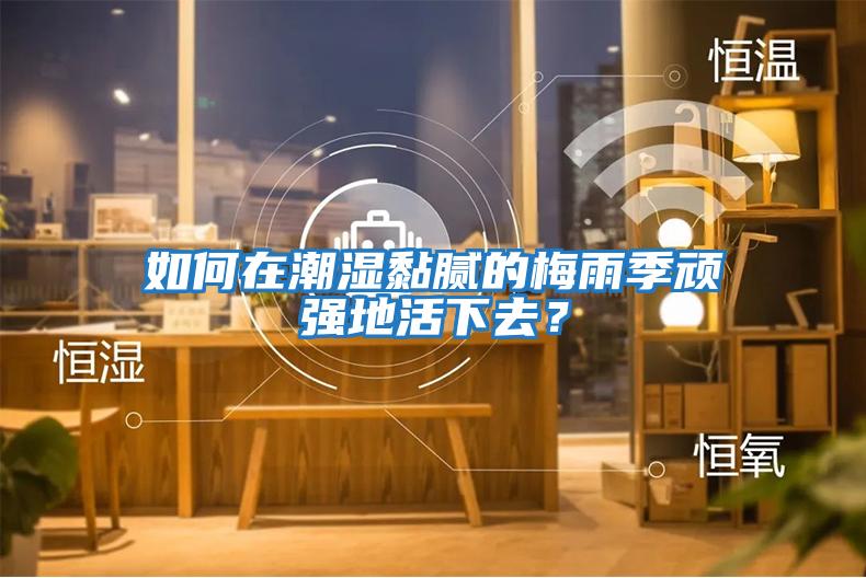 如何在潮濕黏膩的梅雨季頑強地活下去？