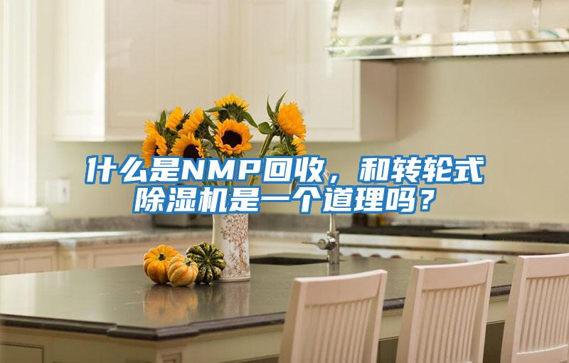 什么是NMP回收，和轉(zhuǎn)輪式除濕機是一個道理嗎？