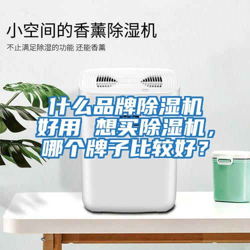 什么品牌除濕機(jī)好用 想買(mǎi)除濕機(jī)，哪個(gè)牌子比較好？