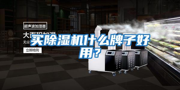 買除濕機(jī)什么牌子好用？