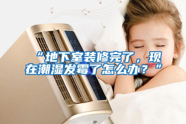 “地下室裝修完了，現在潮濕發霉了怎么辦？”
