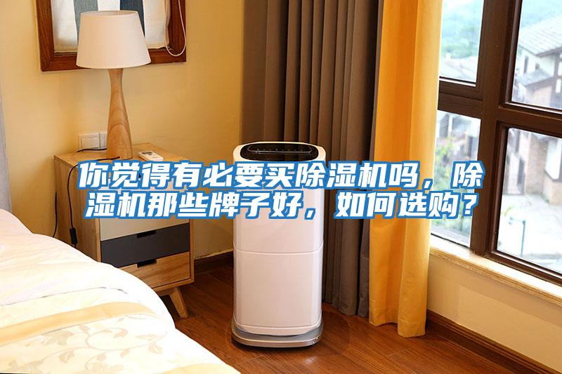 你覺(jué)得有必要買除濕機(jī)嗎，除濕機(jī)那些牌子好，如何選購(gòu)？