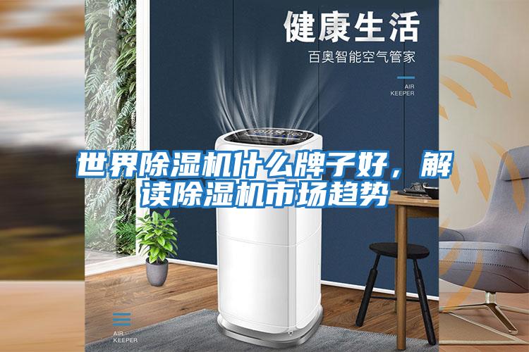 世界除濕機什么牌子好，解讀除濕機市場趨勢
