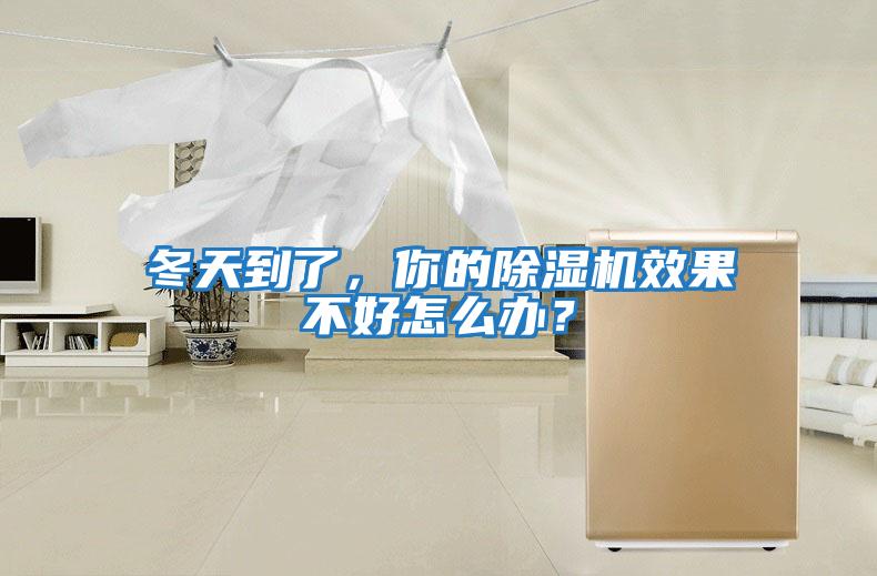冬天到了，你的除濕機效果不好怎么辦？