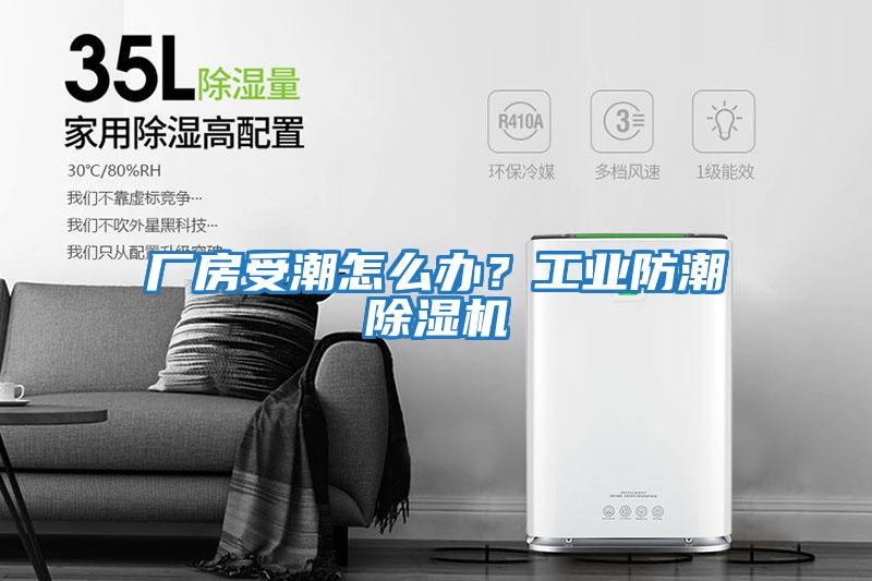 廠房受潮怎么辦？工業(yè)防潮除濕機