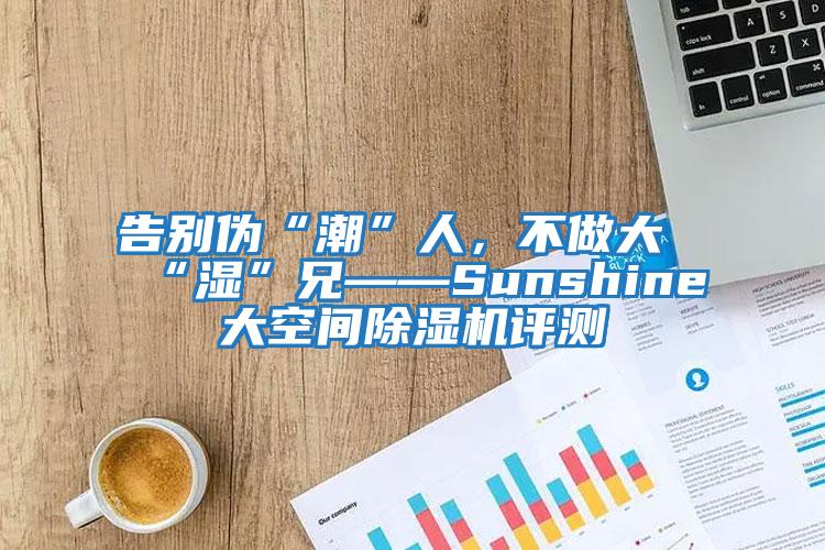 告別偽“潮”人，不做大“濕”兄——Sunshine大空間除濕機(jī)評測