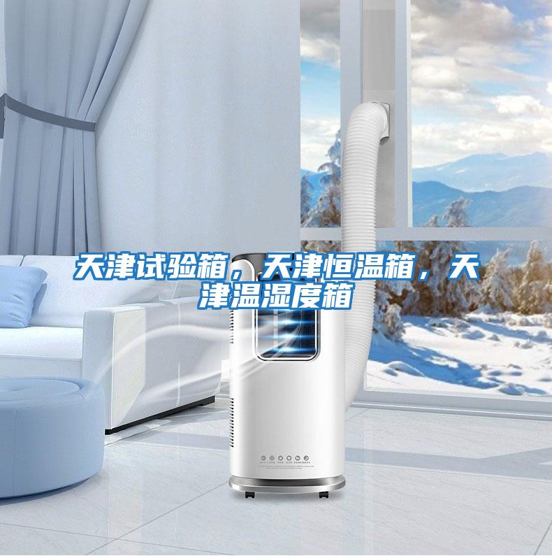 天津試驗箱，天津恒溫箱，天津溫濕度箱