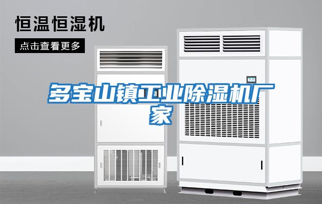 多寶山鎮工業除濕機廠家