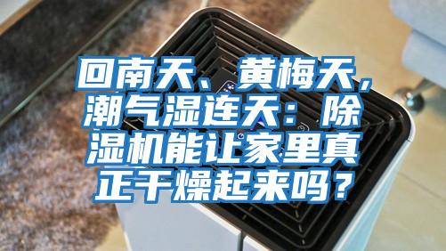 回南天、黃梅天，潮氣濕連天：除濕機(jī)能讓家里真正干燥起來(lái)嗎？