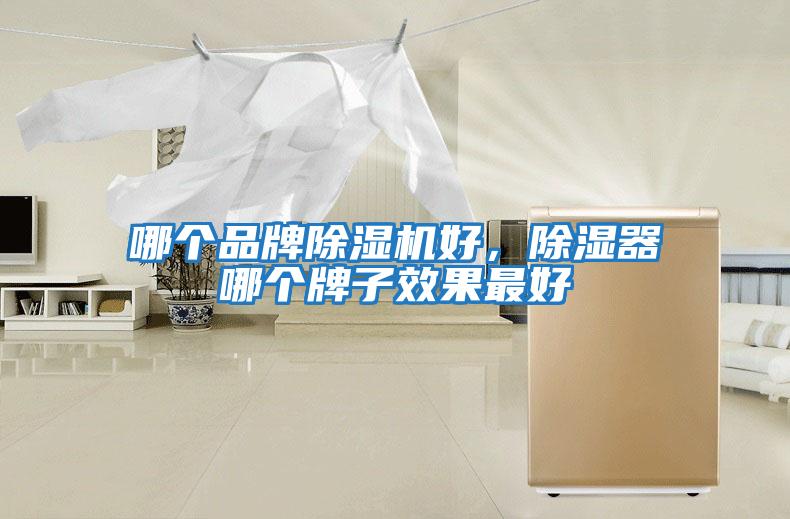 哪個品牌除濕機(jī)好，除濕器哪個牌子效果最好