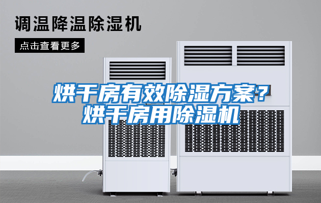 烘干房有效除濕方案？烘干房用除濕機