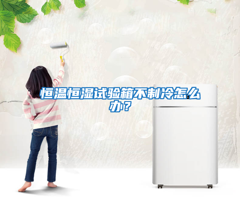 恒溫恒濕試驗箱不制冷怎么辦？