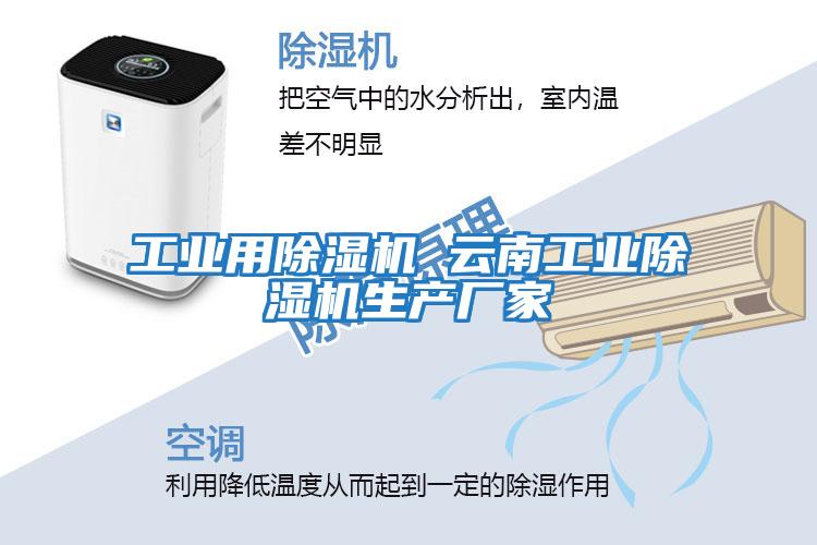 工業(yè)用除濕機(jī) 云南工業(yè)除濕機(jī)生產(chǎn)廠(chǎng)家