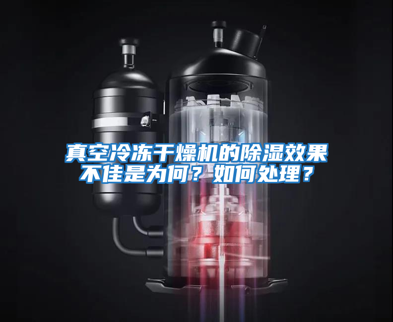 真空冷凍干燥機的除濕效果不佳是為何？如何處理？