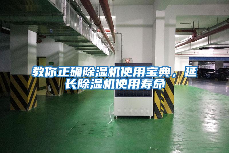 教你正確除濕機使用寶典，延長除濕機使用壽命