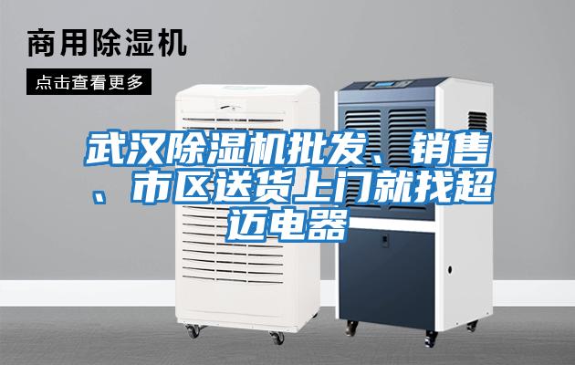 武漢除濕機(jī)批發(fā)、銷售、市區(qū)送貨上門就找超邁電器