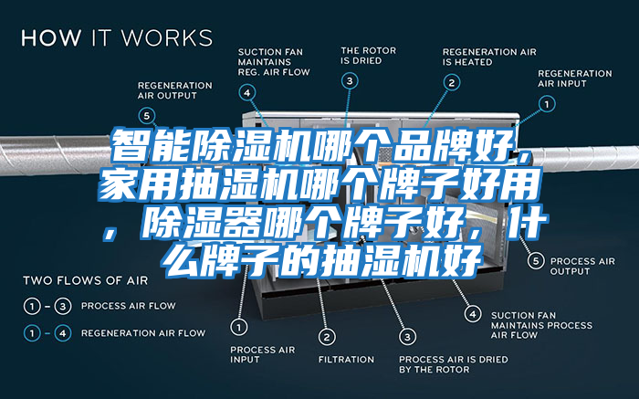 智能除濕機哪個品牌好，家用抽濕機哪個牌子好用，除濕器哪個牌子好，什么牌子的抽濕機好