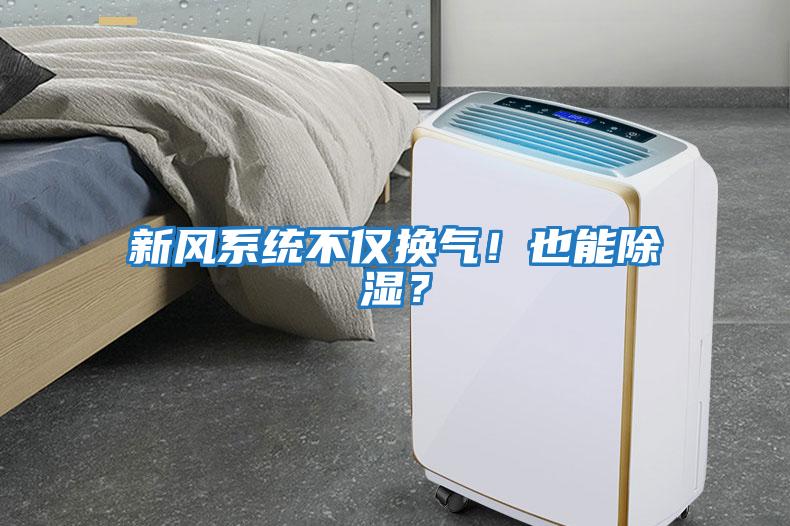 新風(fēng)系統(tǒng)不僅換氣！也能除濕？