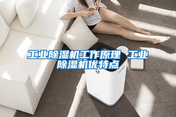 工業(yè)除濕機工作原理 工業(yè)除濕機優(yōu)特點
