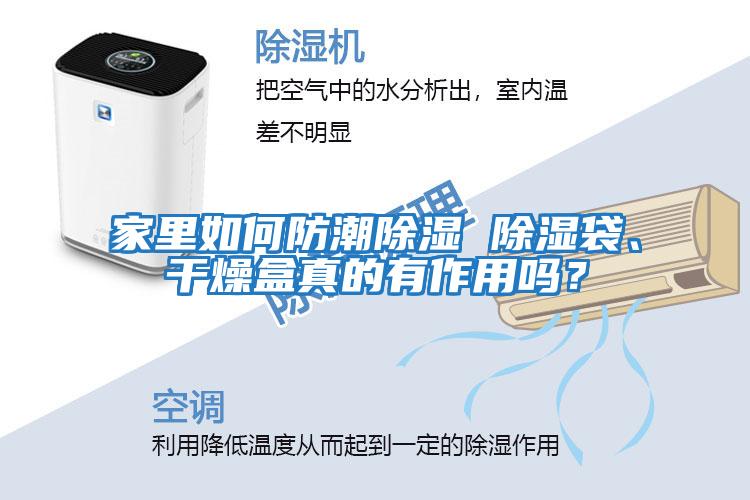 家里如何防潮除濕 除濕袋、干燥盒真的有作用嗎？