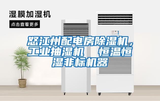 怒江州配電房除濕機，工業抽濕機  恒溫恒濕非標機器
