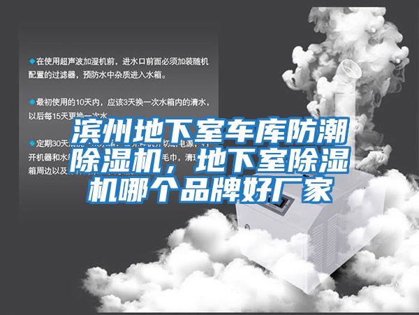 濱州地下室車庫防潮除濕機，地下室除濕機哪個品牌好廠家