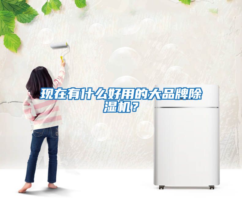 現在有什么好用的大品牌除濕機？