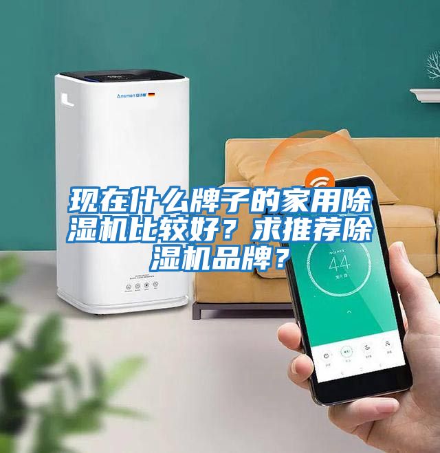 現在什么牌子的家用除濕機比較好？求推薦除濕機品牌？