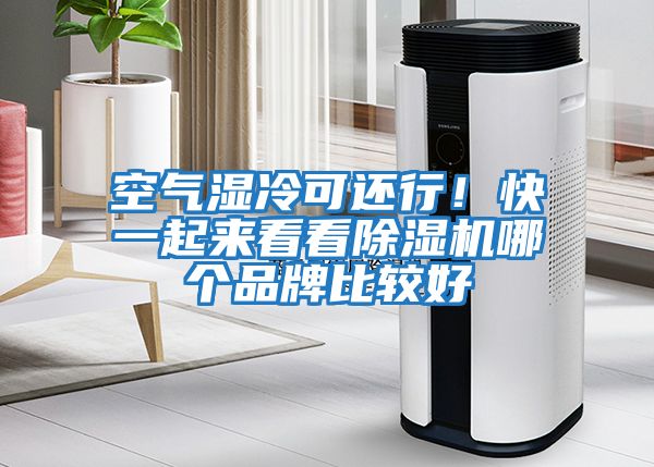 空氣濕冷可還行！快一起來看看除濕機哪個品牌比較好