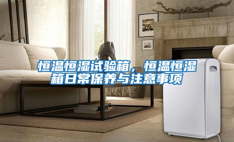 恒溫恒濕試驗箱，恒溫恒濕箱日常保養(yǎng)與注意事項