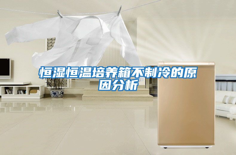 恒濕恒溫培養(yǎng)箱不制冷的原因分析