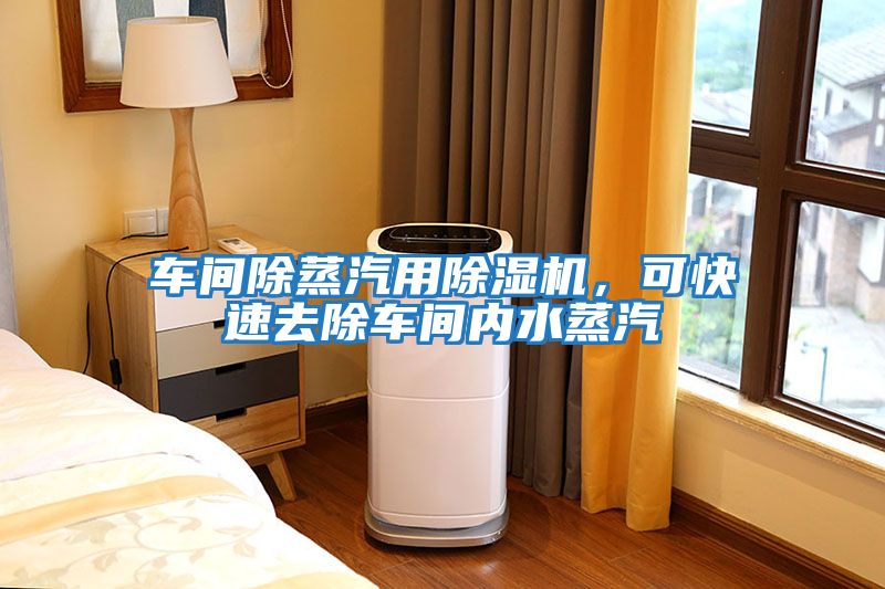 車間除蒸汽用除濕機，可快速去除車間內水蒸汽