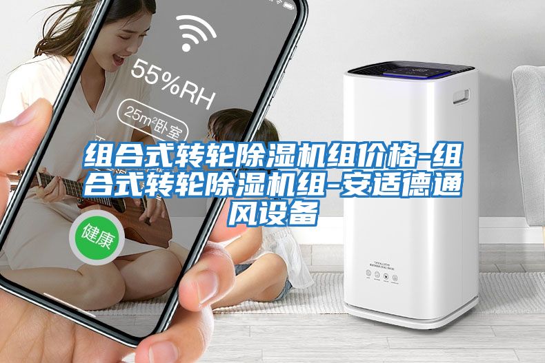 組合式轉(zhuǎn)輪除濕機組價格-組合式轉(zhuǎn)輪除濕機組-安適德通風設(shè)備