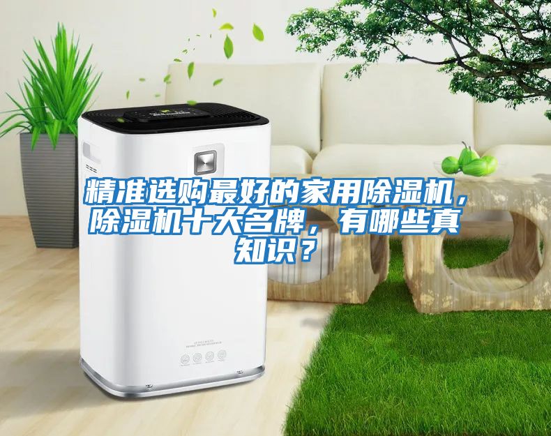 精準選購最好的家用除濕機，除濕機十大名牌，有哪些真知識？