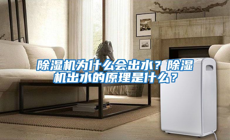 除濕機為什么會出水？除濕機出水的原理是什么？