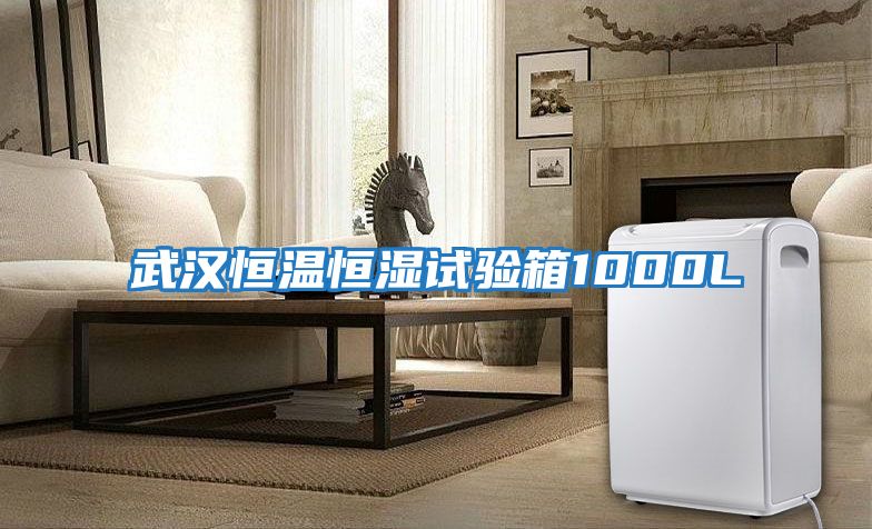武漢恒溫恒濕試驗箱1000L
