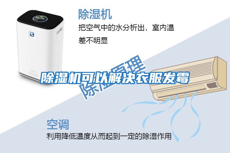 除濕機可以解決衣服發霉