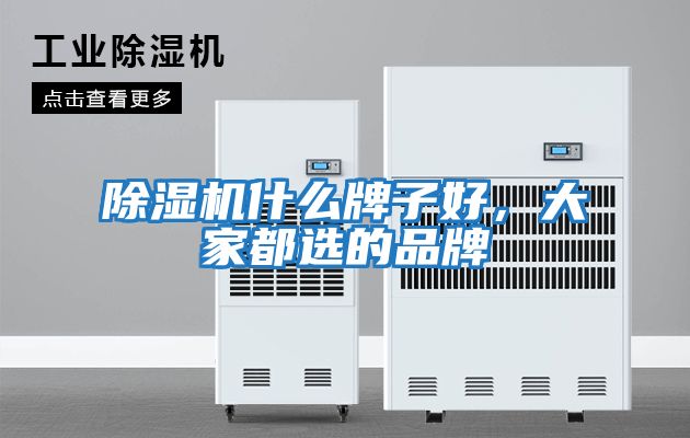 除濕機什么牌子好，大家都選的品牌