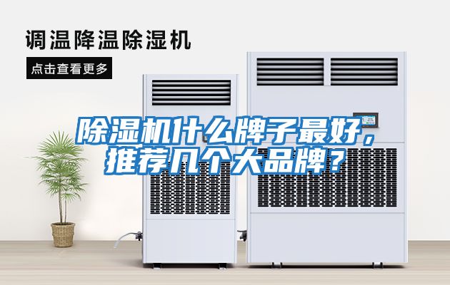 除濕機(jī)什么牌子最好，推薦幾個(gè)大品牌？