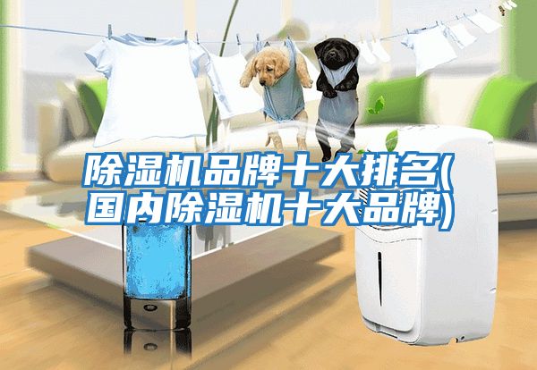 除濕機(jī)品牌十大排名(國(guó)內(nèi)除濕機(jī)十大品牌)