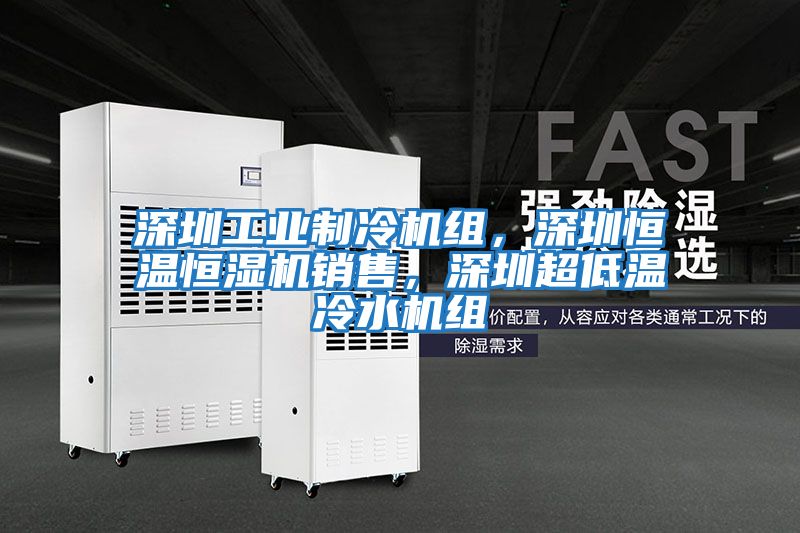 深圳工業制冷機組，深圳恒溫恒濕機銷售，深圳超低溫冷水機組