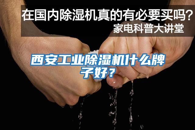 西安工業除濕機什么牌子好？