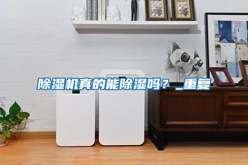除濕機真的能除濕嗎？_重復(fù)