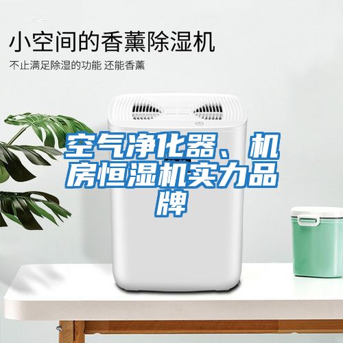 空氣凈化器、機(jī)房恒濕機(jī)實(shí)力品牌