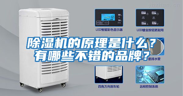 除濕機的原理是什么？有哪些不錯的品牌？