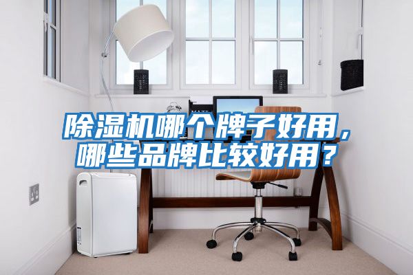 除濕機哪個牌子好用，哪些品牌比較好用？